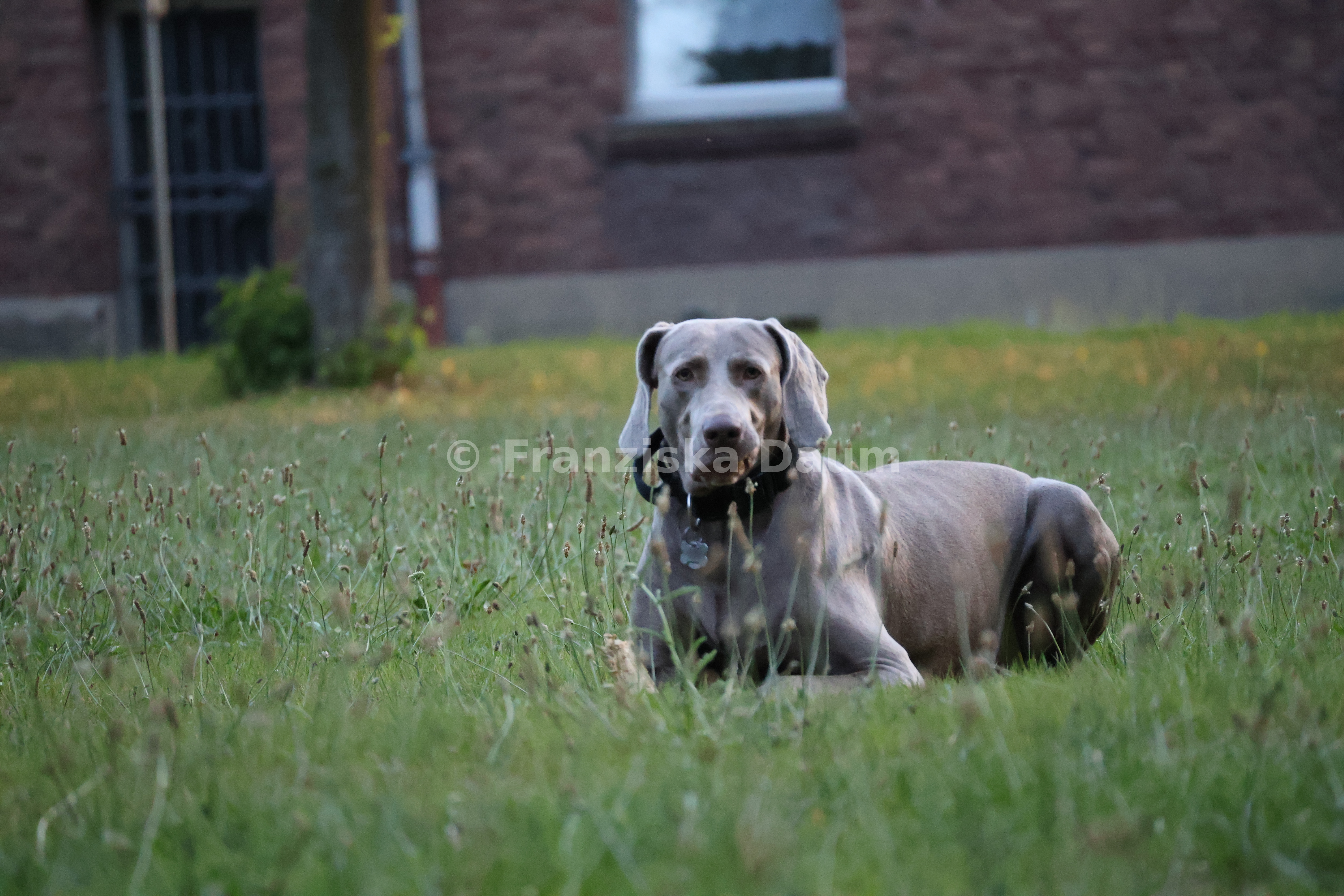 Lyva im Park