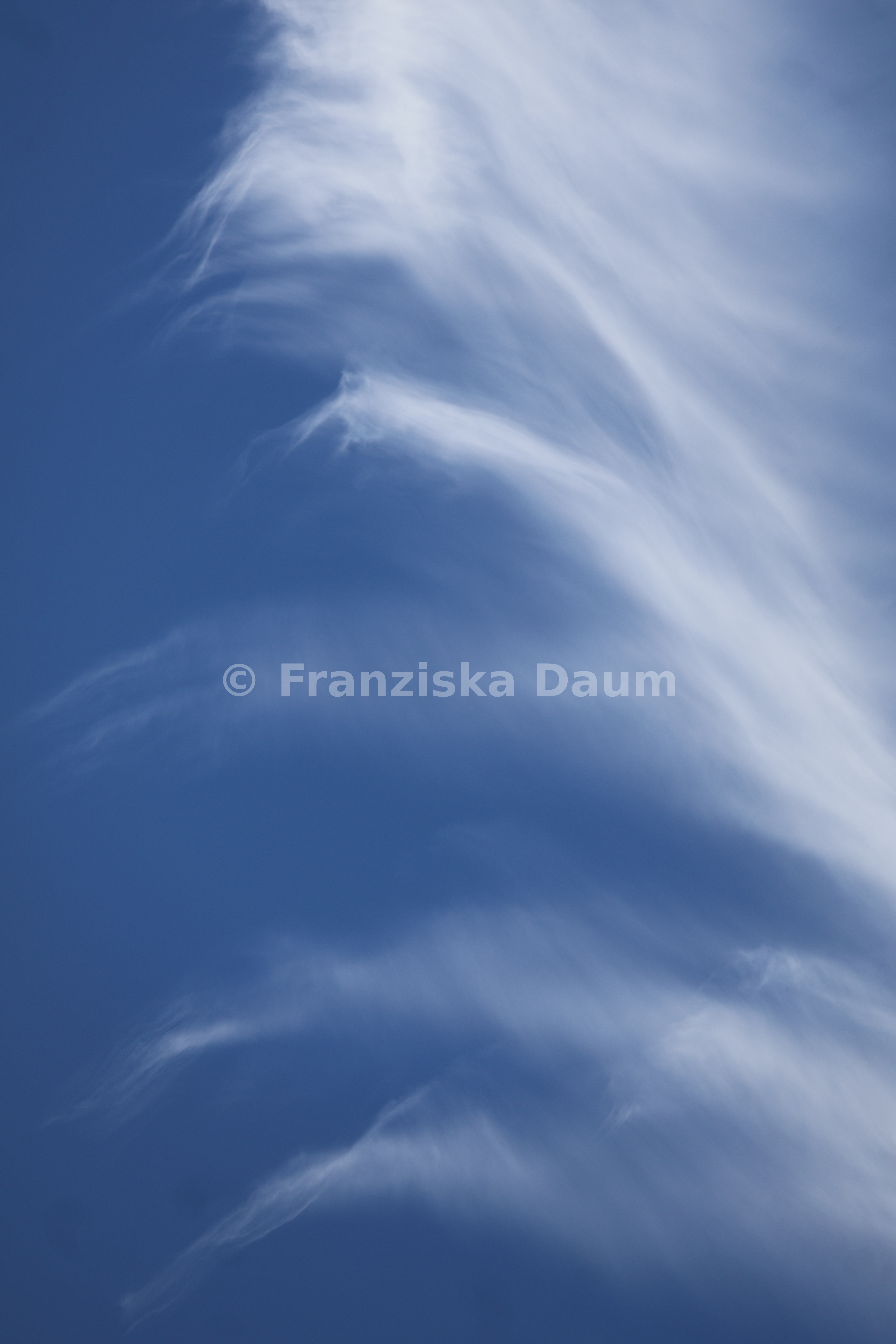blau & weiss