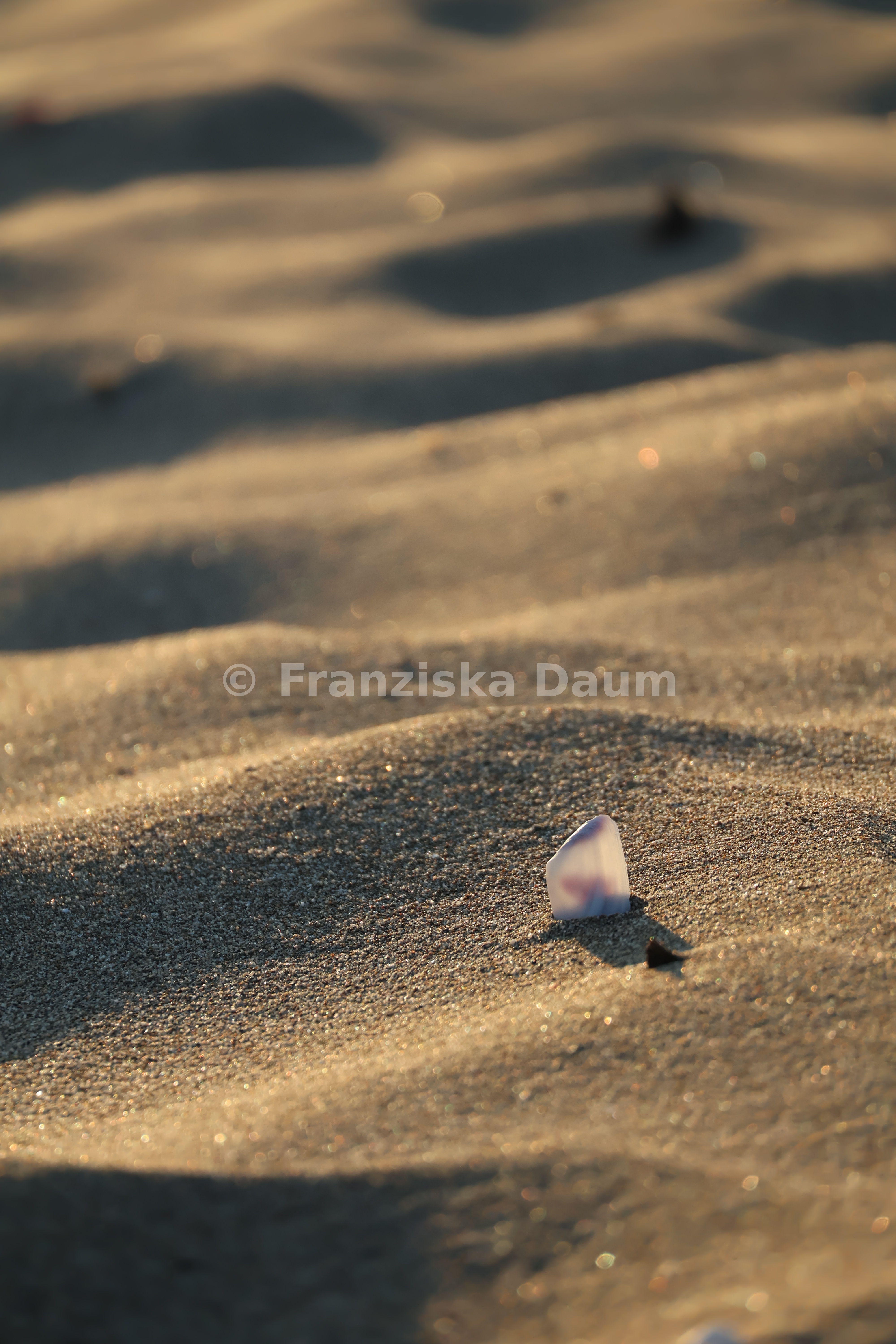 Meer