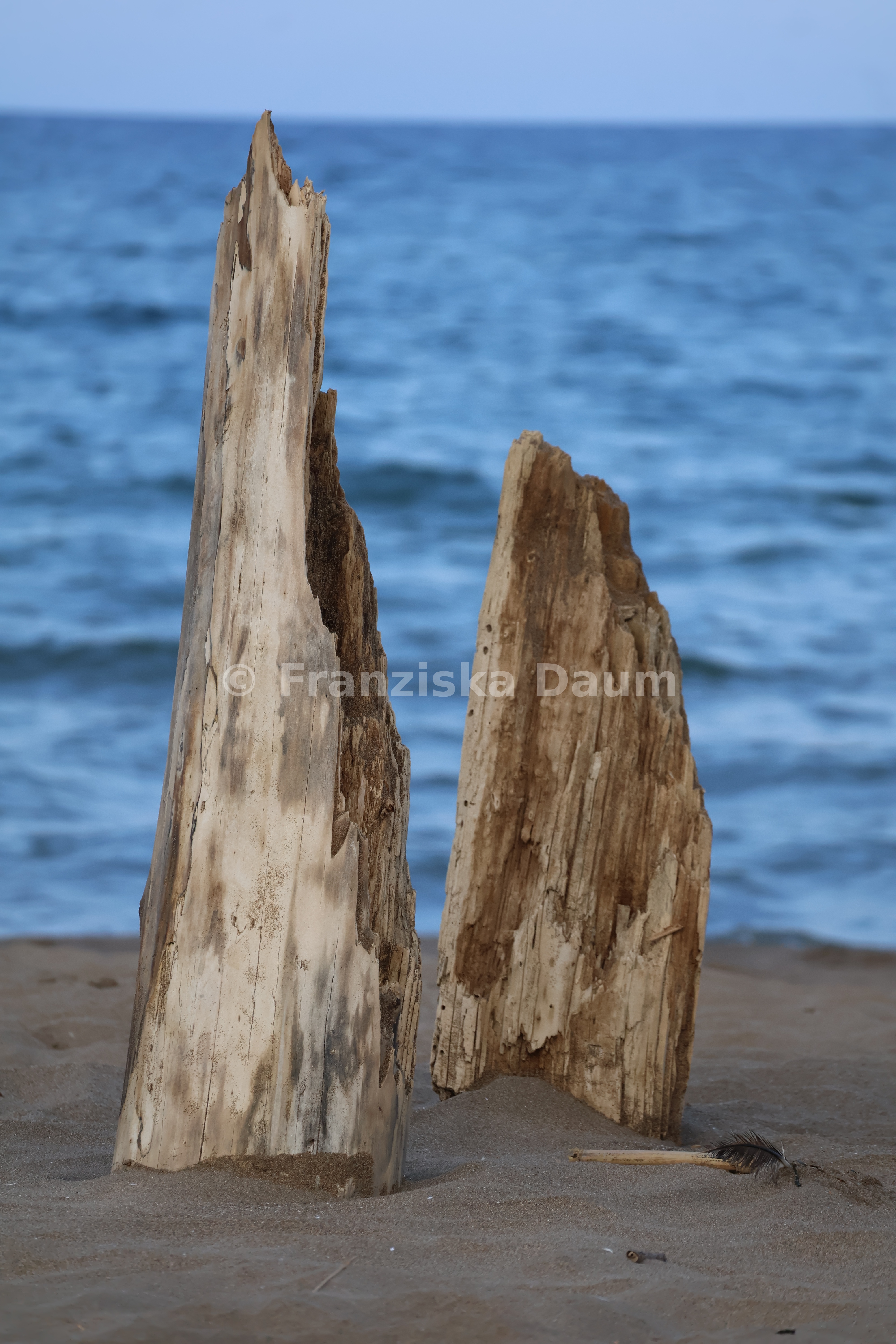 Meer