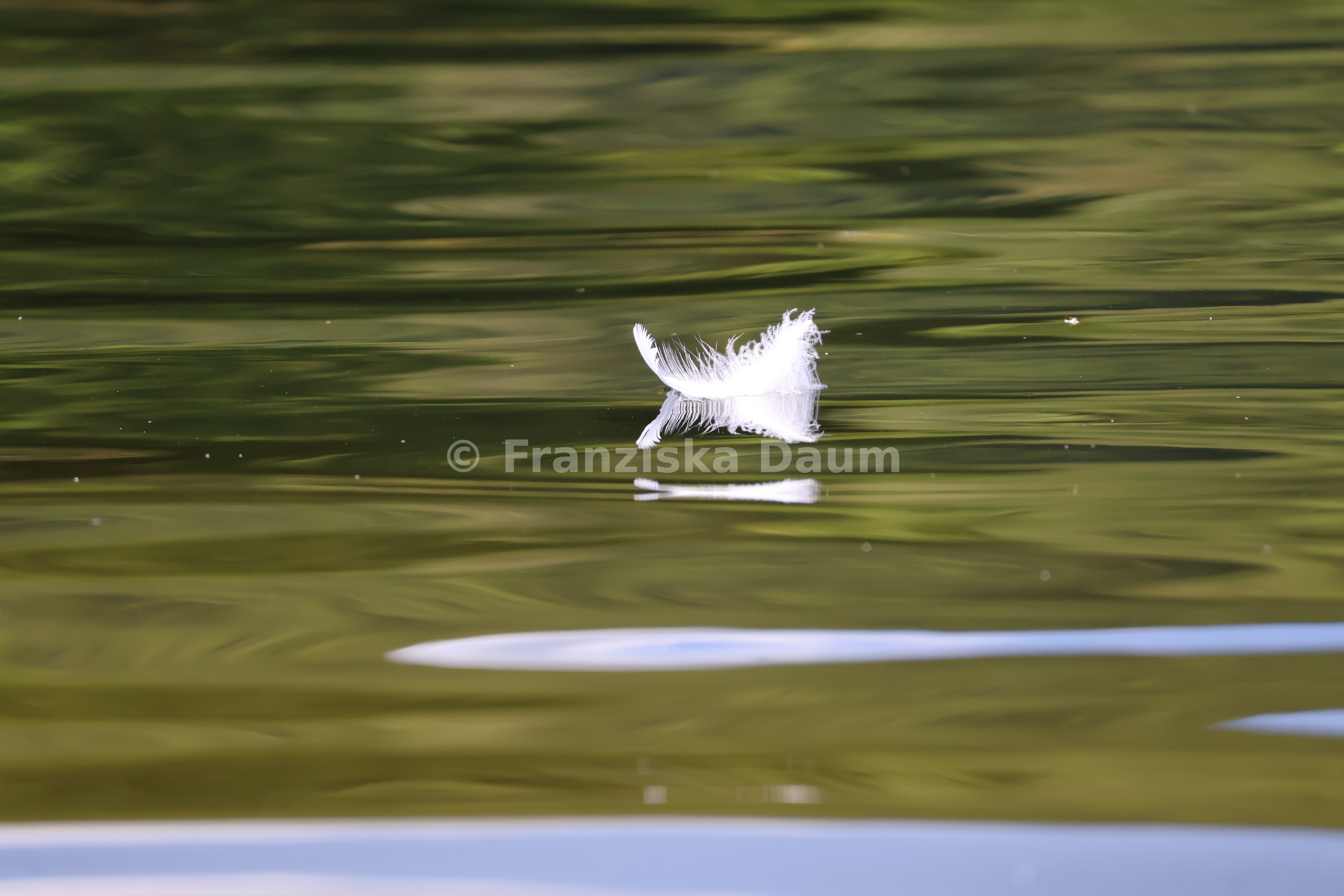 Stille