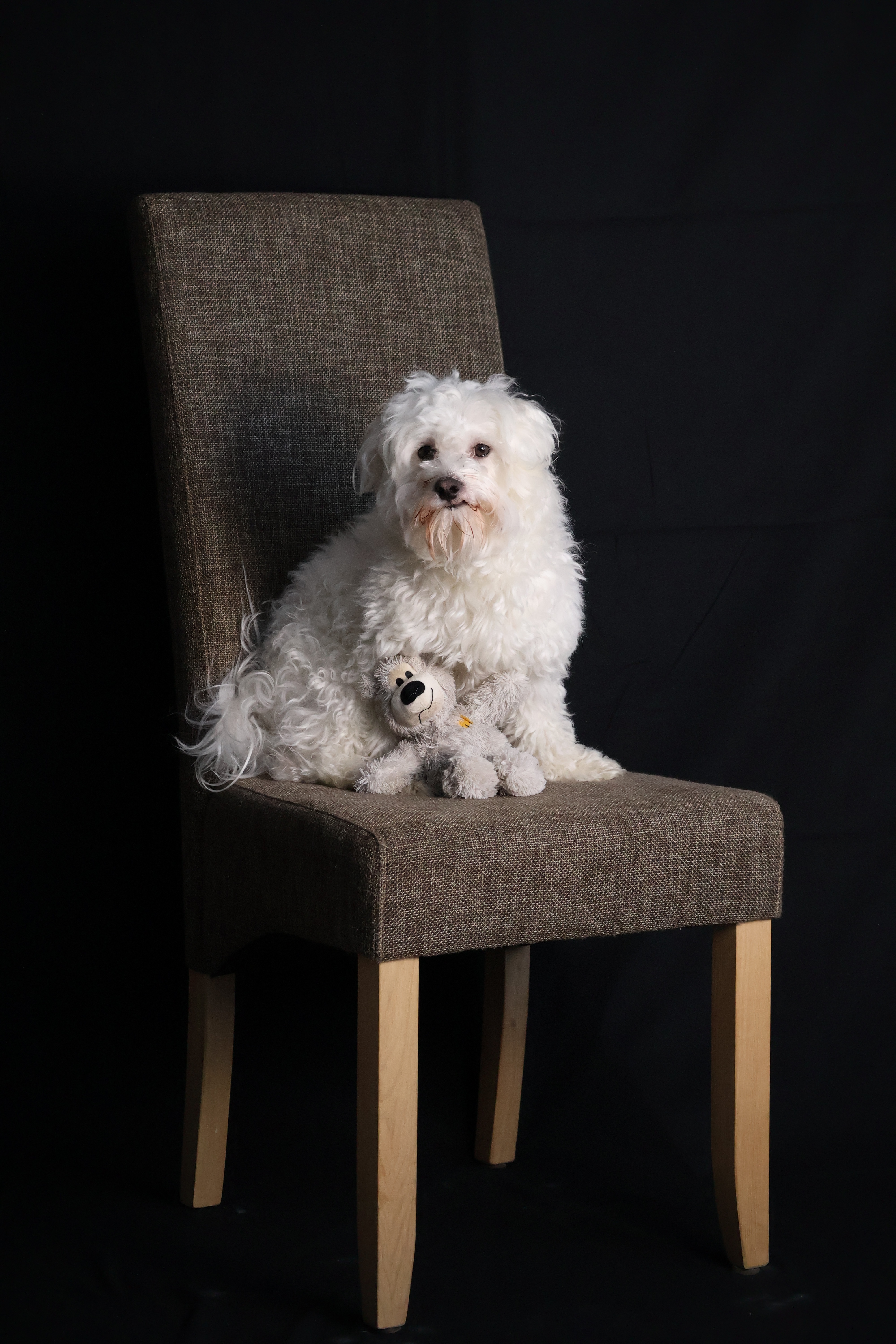 Indoor Shooting mit Simba