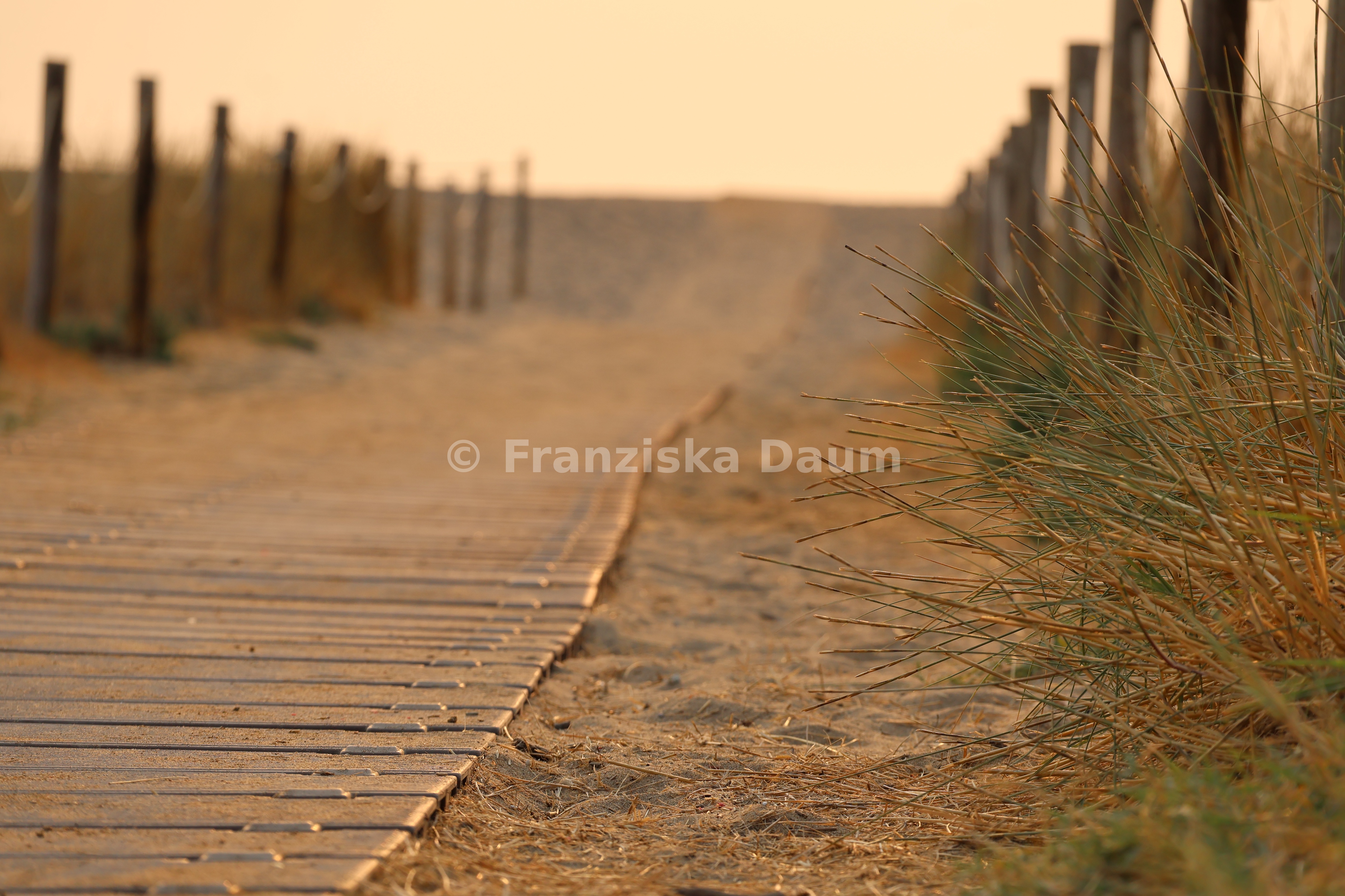 Meer