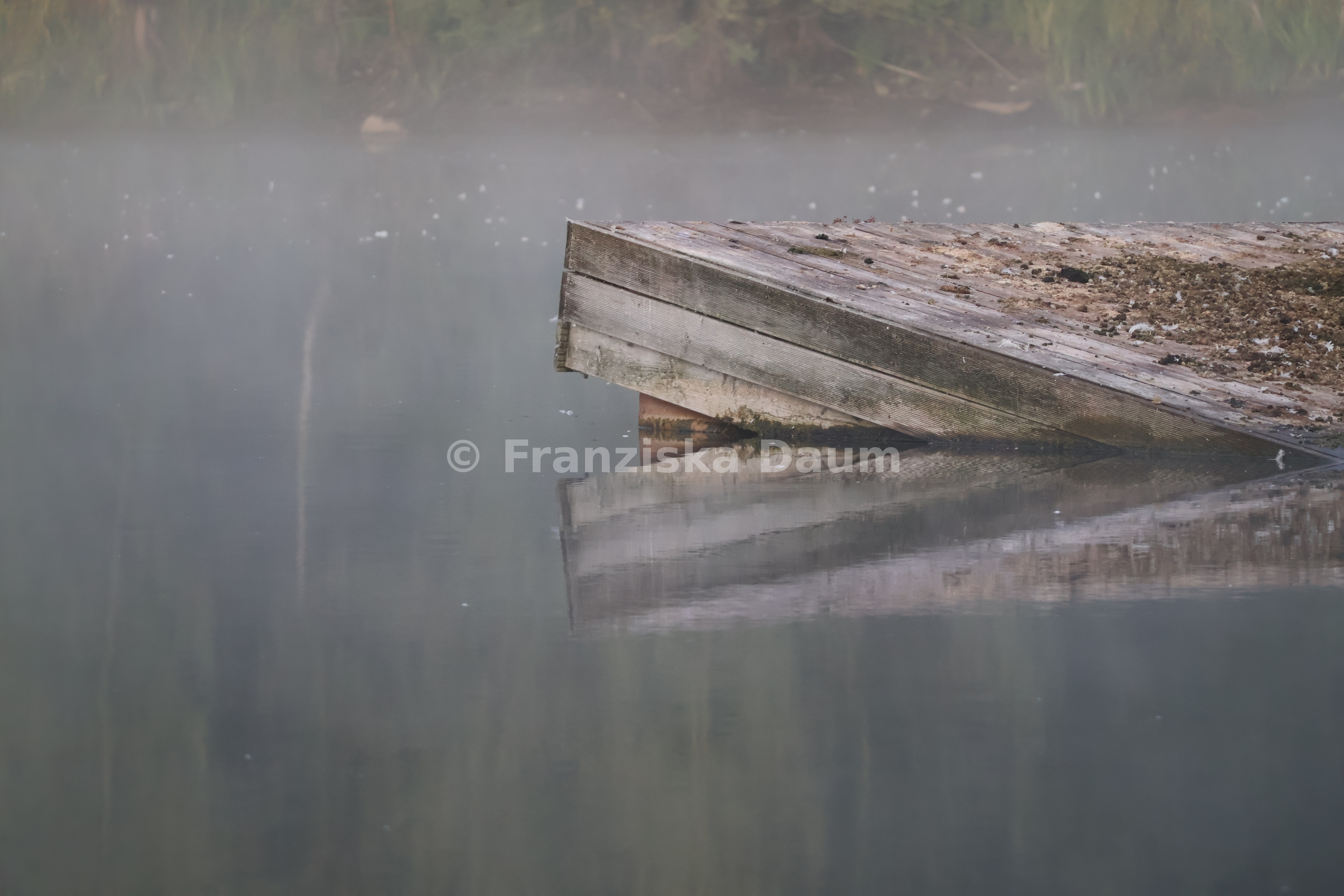 Stille