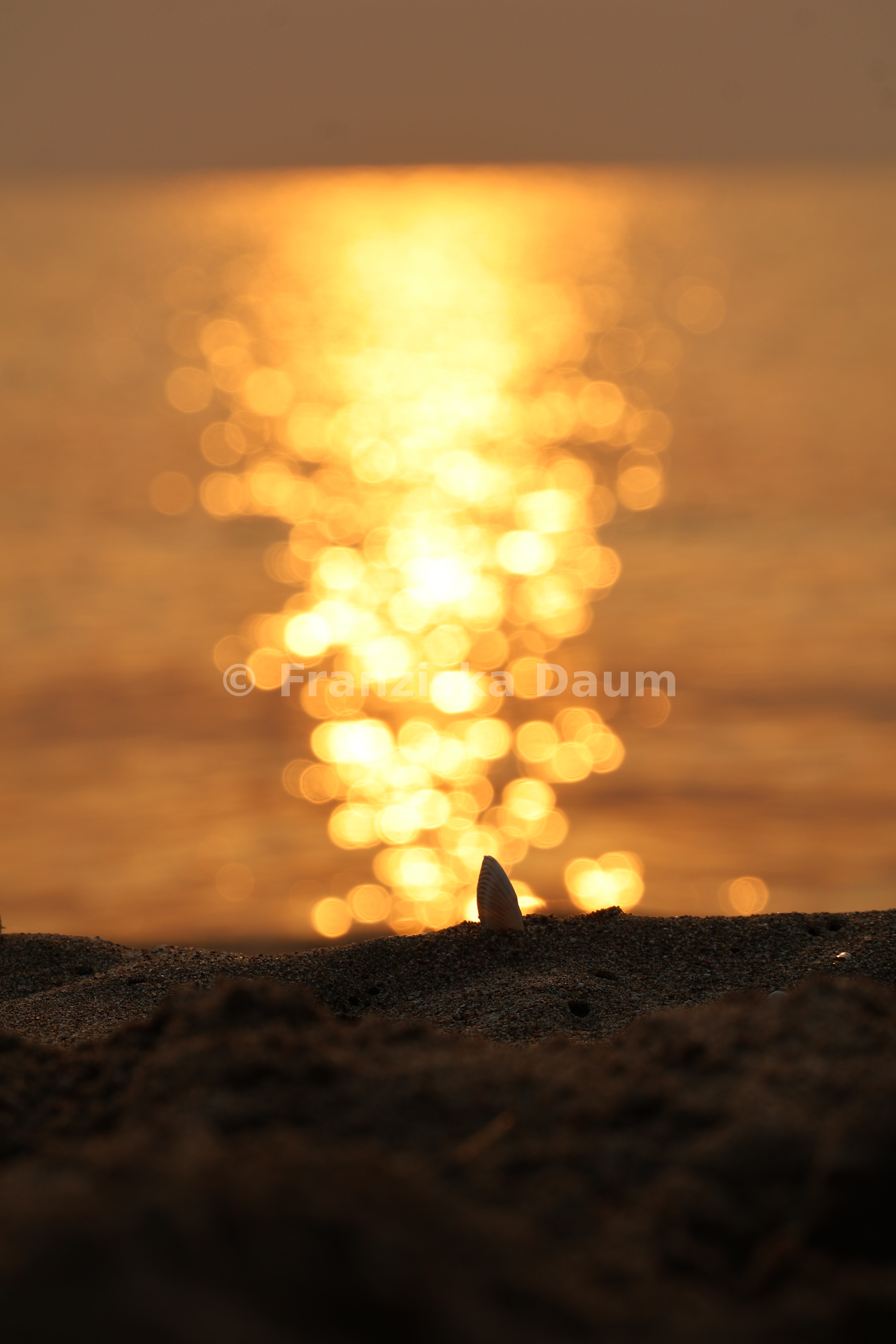Meer