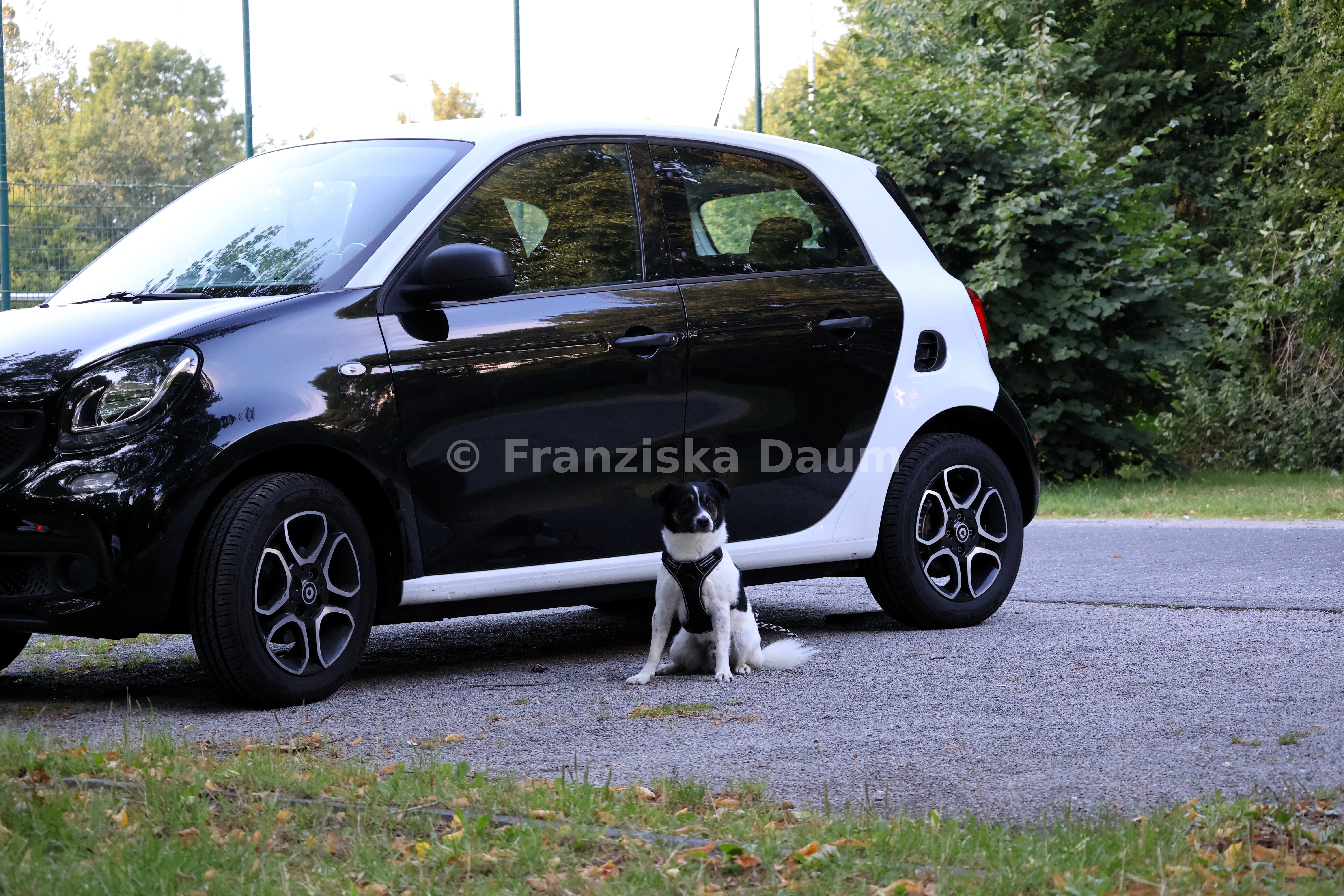 Moritz & sein Auto