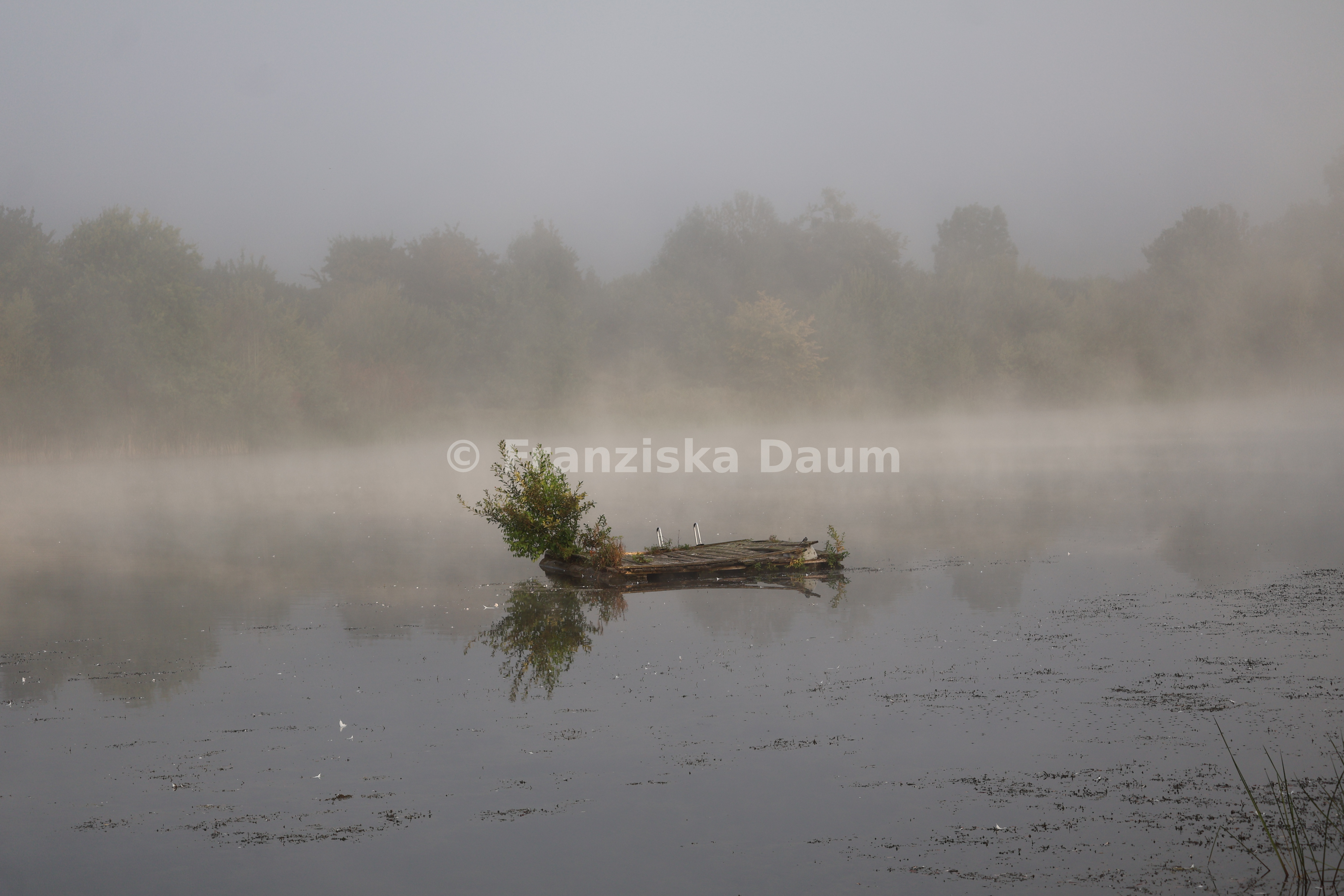 Stille