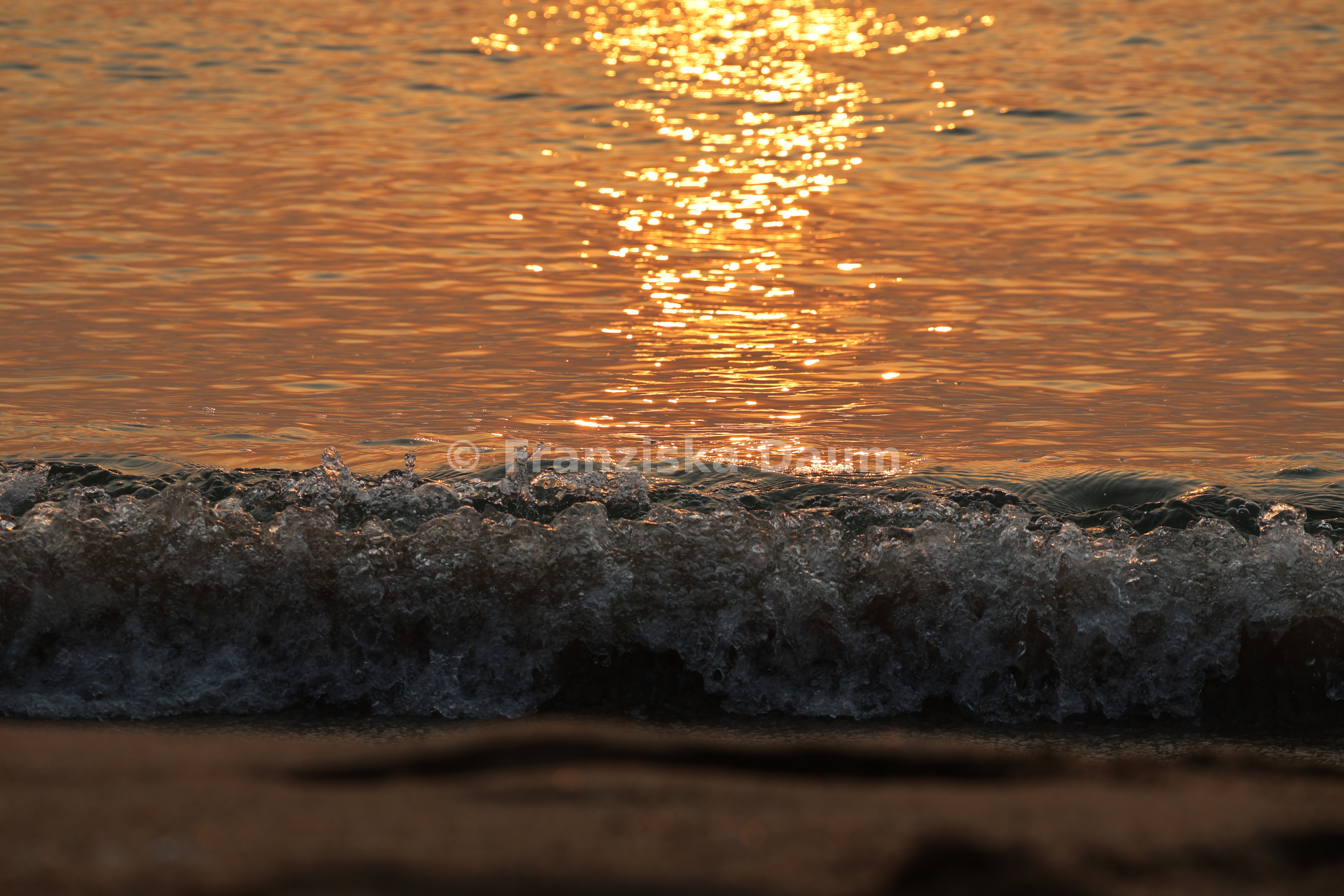 Meer