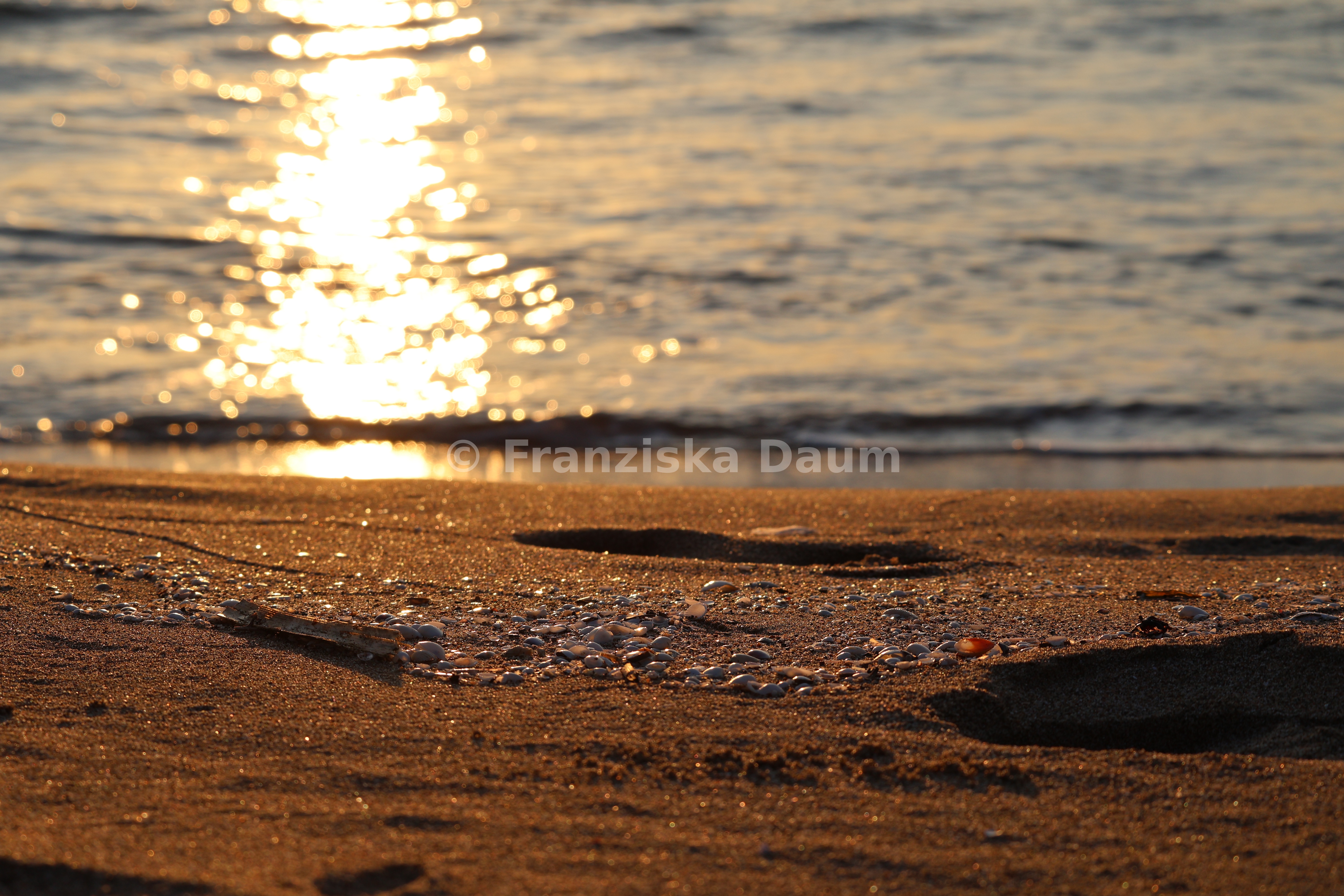 Meer