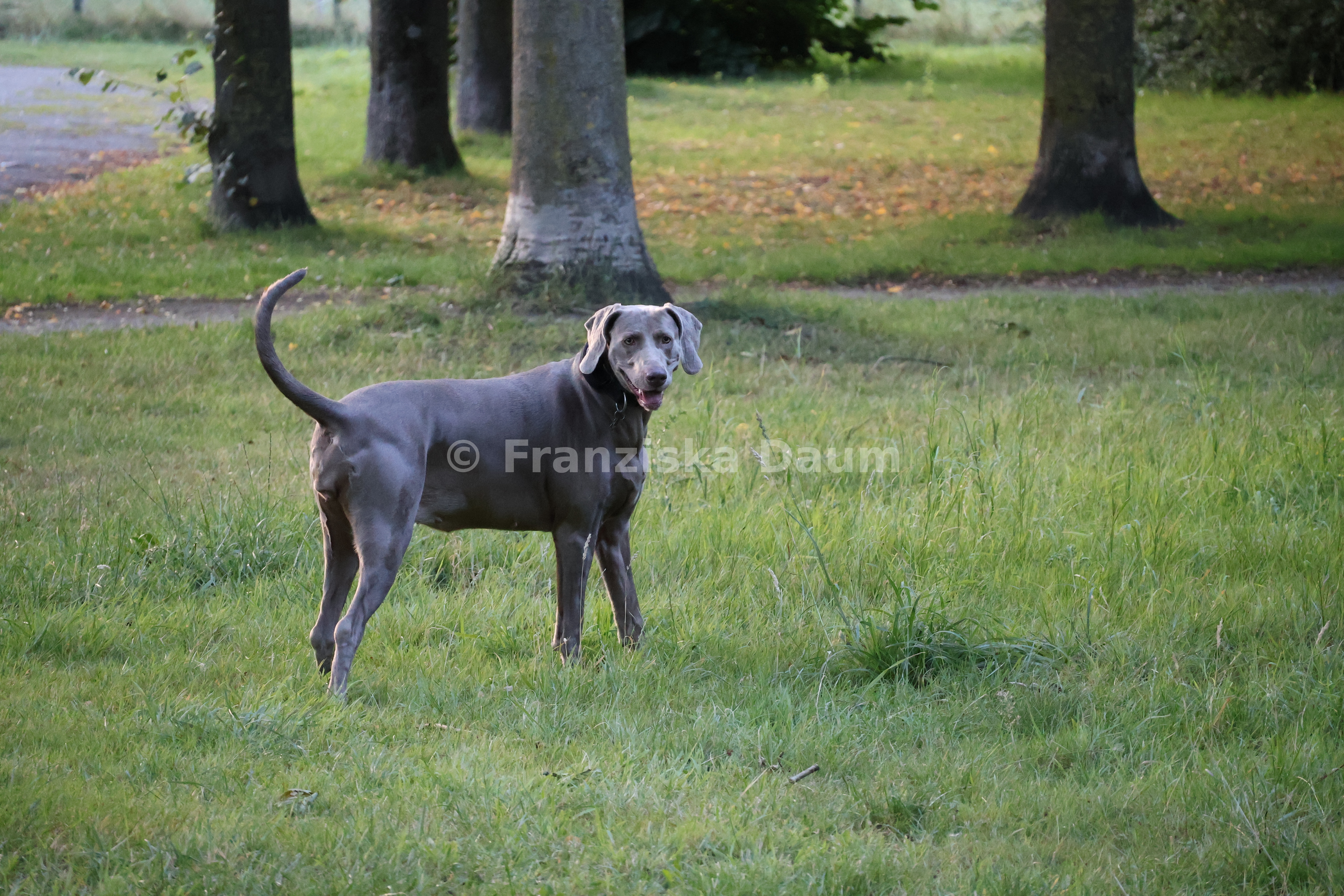 Lyva im Park