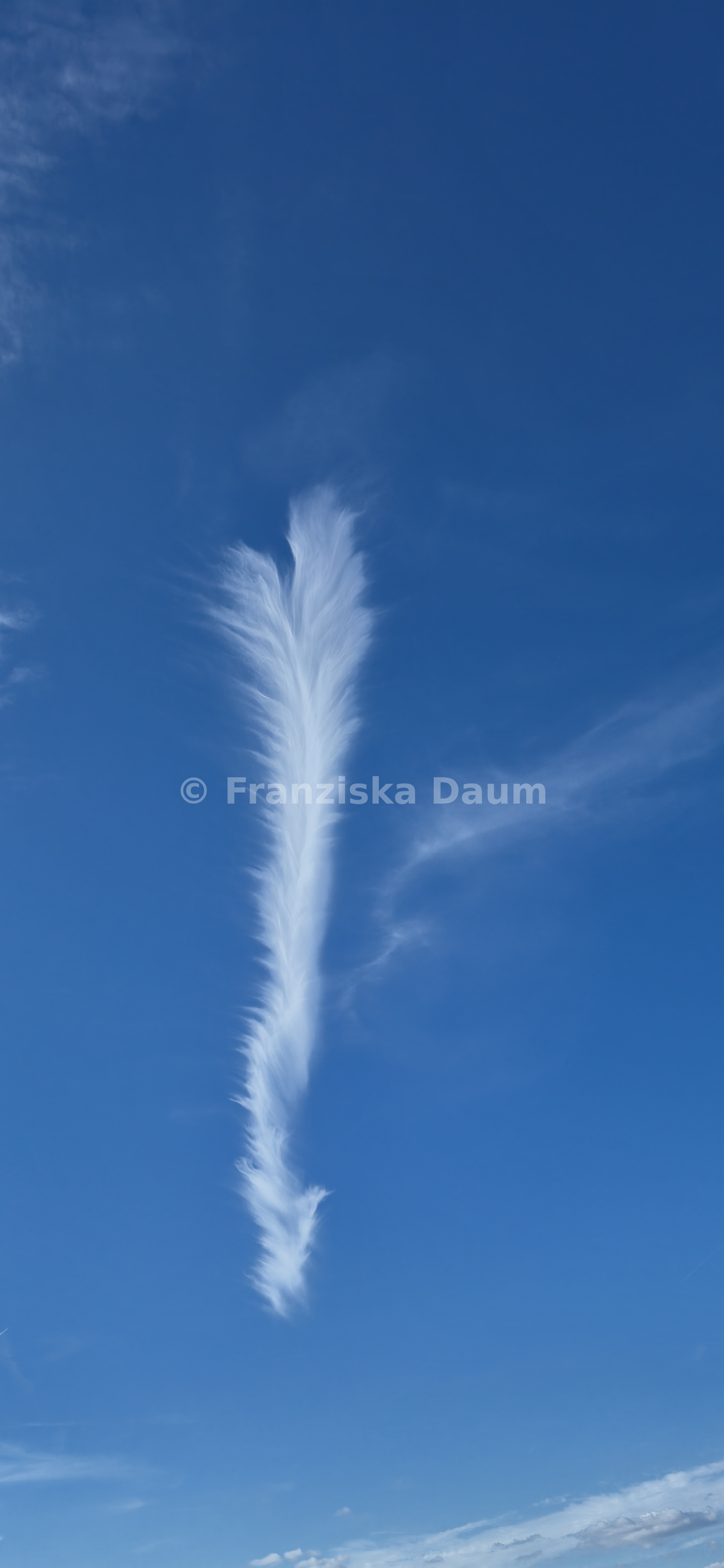 blau & weiss